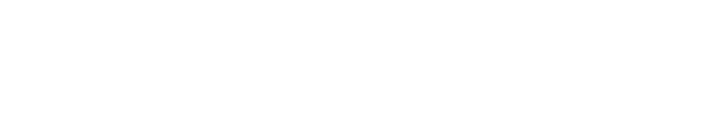 Skopei logo